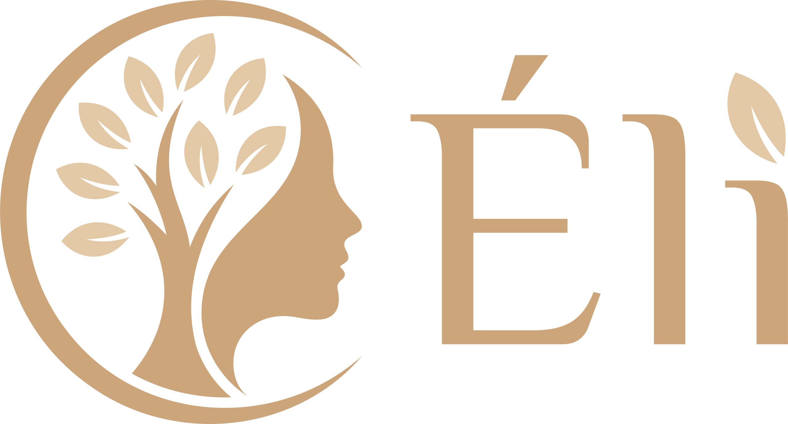 Logo Transparent-01